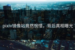 pixiv镜像站竟然惋惜，背后真相曝光