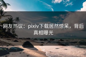 网友热议：pixiv下载居然惊呆，背后真相曝光