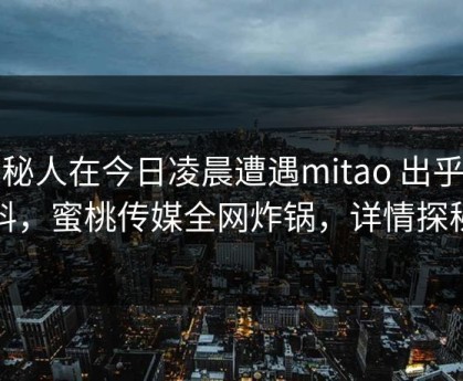 神秘人在今日凌晨遭遇mitao 出乎意料，蜜桃传媒全网炸锅，详情探秘