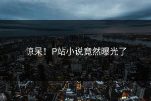 惊呆！P站小说竟然曝光了