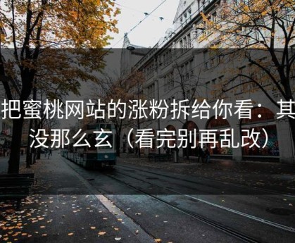 我把蜜桃网站的涨粉拆给你看：其实没那么玄（看完别再乱改）