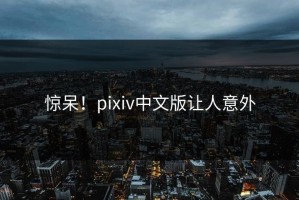 惊呆！pixiv中文版让人意外