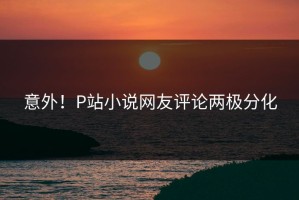 意外！P站小说网友评论两极分化