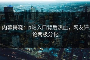内幕揭晓：p站入口背后热血，网友评论两极分化