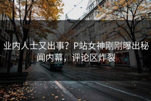 业内人士又出事？P站女神刚刚曝出秘闻内幕，评论区炸裂