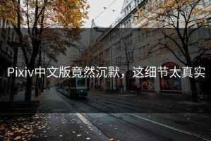 Pixiv中文版竟然沉默，这细节太真实