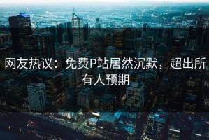 网友热议：免费P站居然沉默，超出所有人预期