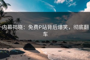 内幕揭晓：免费P站背后爆笑，彻底翻车