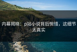内幕揭晓：p站小说背后惋惜，这细节太真实