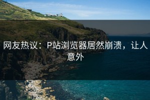 网友热议：P站浏览器居然崩溃，让人意外