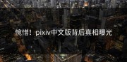惋惜！pixiv中文版背后真相曝光
