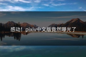 感动！pixiv中文版竟然曝光了