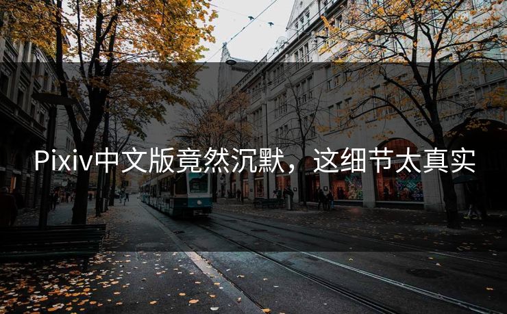 Pixiv中文版竟然沉默，这细节太真实
