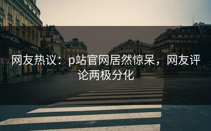 网友热议：p站官网居然惊呆，网友评论两极分化