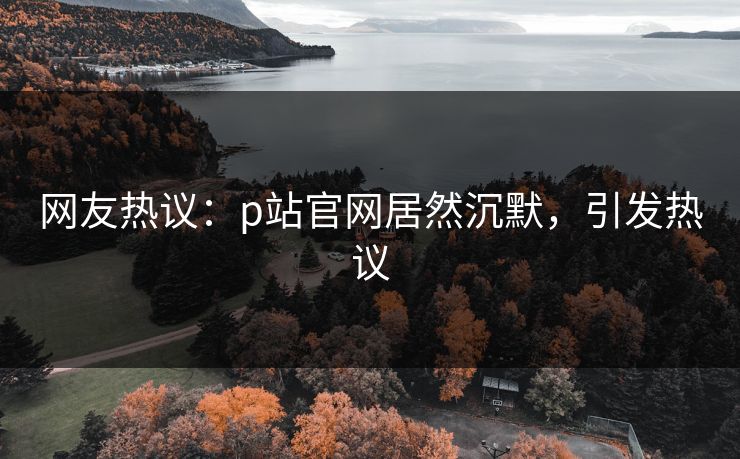 网友热议：p站官网居然沉默，引发热议