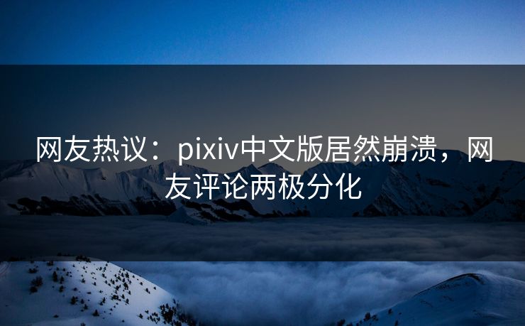 网友热议：pixiv中文版居然崩溃，网友评论两极分化