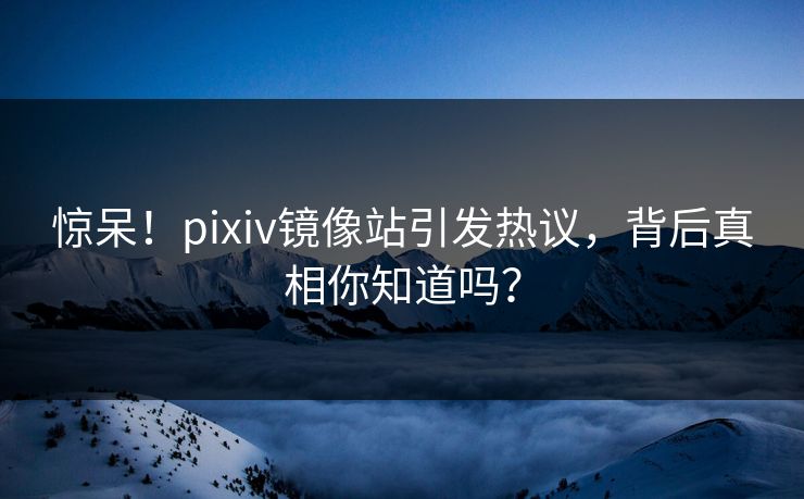 惊呆！pixiv镜像站引发热议，背后真相你知道吗？