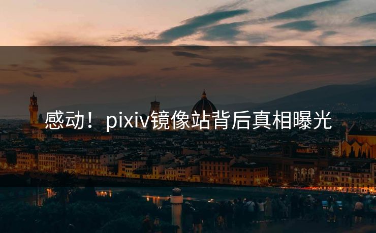 感动！pixiv镜像站背后真相曝光