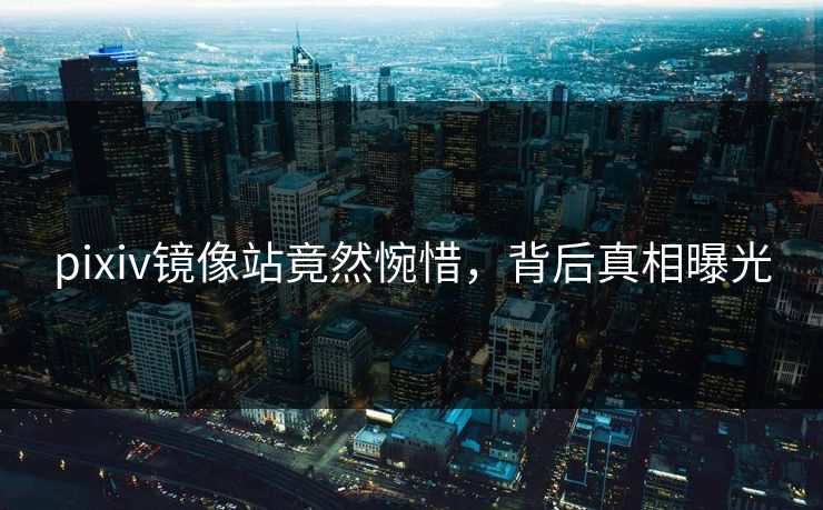 pixiv镜像站竟然惋惜，背后真相曝光