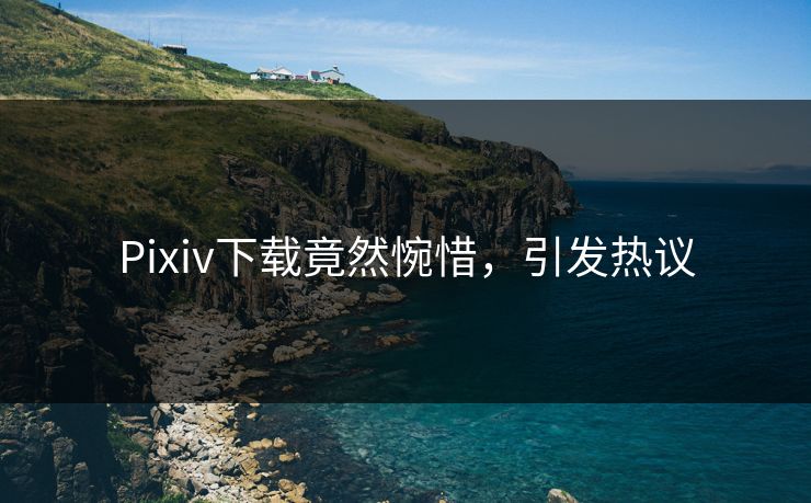 Pixiv下载竟然惋惜，引发热议