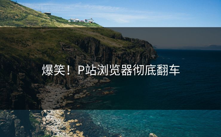 爆笑！P站浏览器彻底翻车
