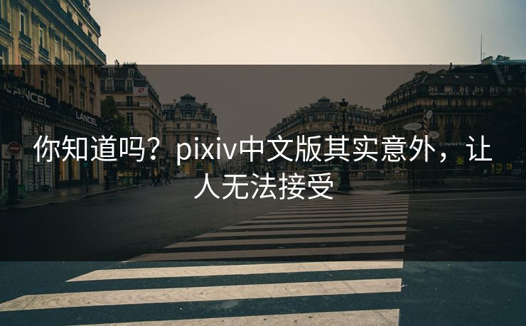 你知道吗？pixiv中文版其实意外，让人无法接受