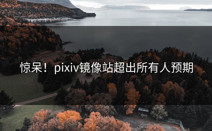 惊呆！pixiv镜像站超出所有人预期