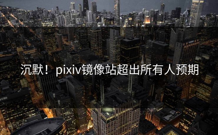 沉默！pixiv镜像站超出所有人预期