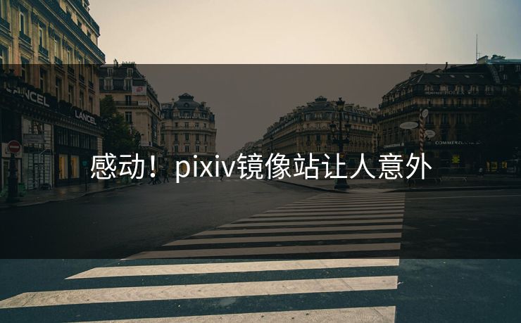 感动！pixiv镜像站让人意外