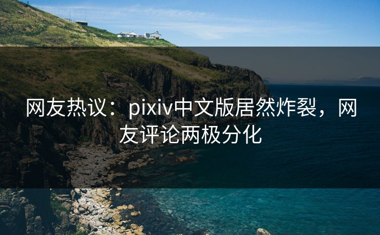 网友热议：pixiv中文版居然炸裂，网友评论两极分化