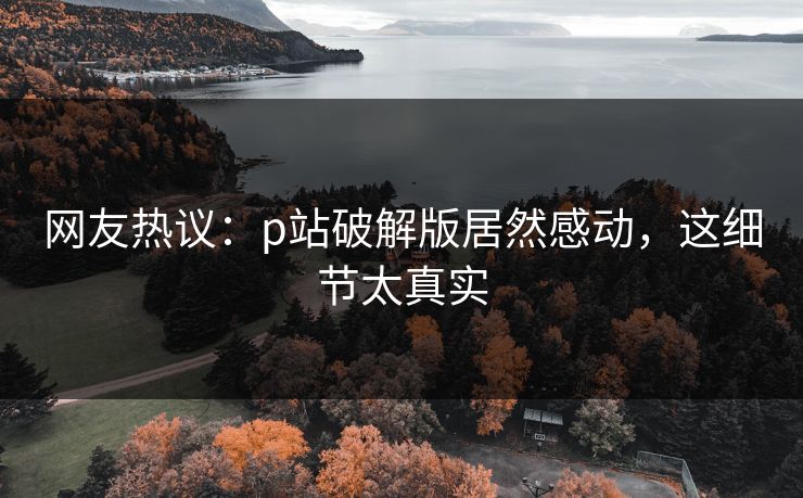 网友热议：p站破解版居然感动，这细节太真实