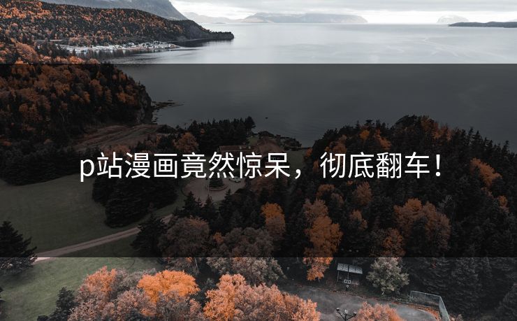 p站漫画竟然惊呆，彻底翻车！