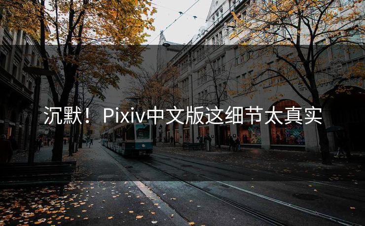 沉默！Pixiv中文版这细节太真实