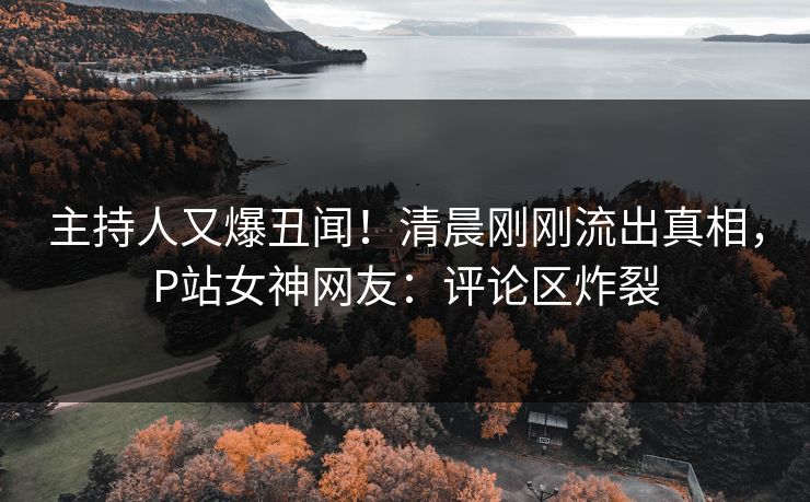 主持人又爆丑闻！清晨刚刚流出真相，P站女神网友：评论区炸裂