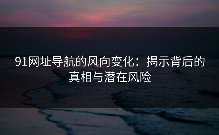 91网址导航的风向变化：揭示背后的真相与潜在风险